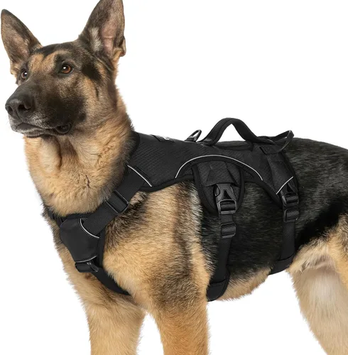 Vista 16 de rabbitgoo - Arnés para perros a prueba de fugas, arnés para mascotas acolchado y suave de cuerpo completo, arnés reflectante ajustable sin tirones