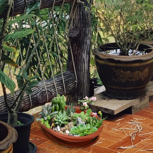 Vista 9 de TEHAUX Macetas de entrenamiento para bonsái, maceta ovalada de plástico para bonsái con orificio de drenaje, macetas de balcón de 15 pulgadas