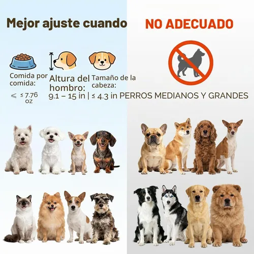 Vista 3 de Cuenco elevado de vidrio pequeño inclinado para gatos y perros, plato elevado para comida para gatos, plato de agua para mascotas, cuencos