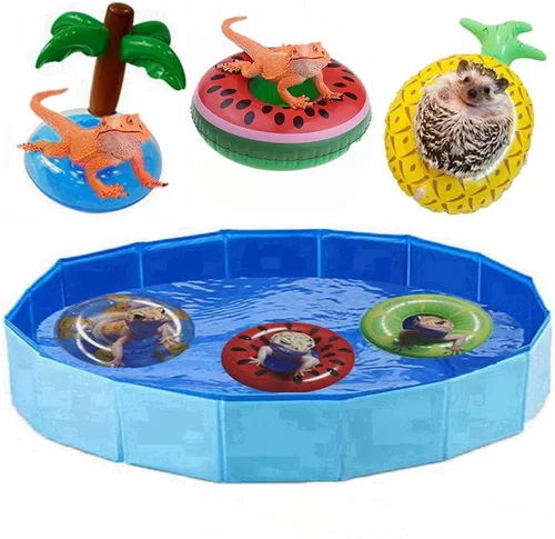 Vista 11 de Piscina plegable plegable de lagarto para baño y refrigeración, bañera duradera, lavadora de agua para dragones barbudos, erizo, hámster y animales
