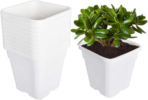 Vista 9 de Macetas cuadradas para vivero, macetas de cultivo para plantas de suelo, 0.63 galones, 10