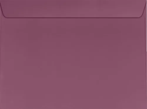 Vista 15 de LUXPaper Sobres para folletos de 9 x 12 Blanco brillante Texto de 28 libras Cantidad de 250 unidades 28 libras. Blanco brillante