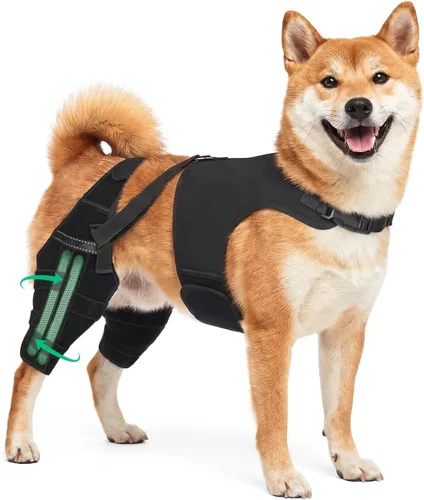 Vista 7 de Rodilleras para perro para soporte de pierna trasera, soporte ACL/CCL