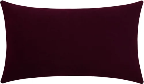 Vista 46 de mixeoo Comfy - Juego de 2 fundas de almohada decorativas de terciopelo grueso sólido y grueso, súper suaves, decoración del hogar para sofá, sala