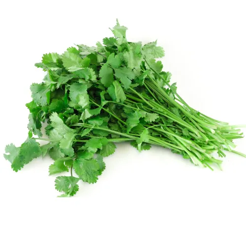 Vista 5 de Semillas de cilantro (Ocio) (300 Semillas)