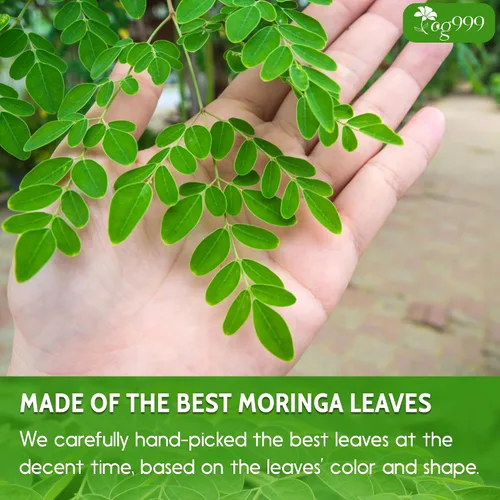 Vista 5 de TOG999, Polvo de hoja de moringa prémium de 16 onzas, 100% natural y puro de hojas de moringa, sin aditivos, sin gluten, sin azúcar, vegano