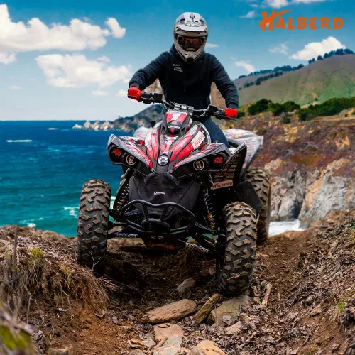 Vista 2 de HALBERD Neumáticos para ATV, 24x8-12 y 24x10-11 6PR 24x8x12 24x10x11 Todo Terreno ATV UTV Neumáticos todoterreno para Honda Fourtrax Rancher TRX400