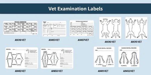 Vista 5 de Examen físico canino veterinario, Doctor Stuff Veterinarian Stickers, 2-1/2" x 2-1/2", Blanco, 240/Roll, Tabbies Vet V-AN315
