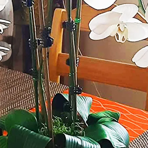 Vista 7 de 20 estacas de bambú natural de 18 pulgadas para plantas de interior, palos de bambú, estacas de bambú de jardín para plantas en maceta, tomate