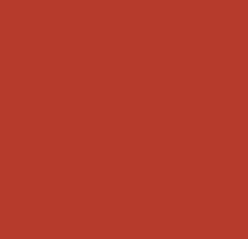 Vista 3 de Vivere Dream Series - Cojín para muebles, color rojo cereza