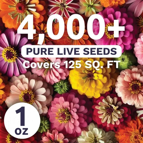 Vista 2 de Zinnia Crazy Blend - Paquete grande de 1 onza - 4,000 semillas de flores para plantar - Zinnia elegans