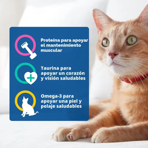 Vista 5 de 9lives alimento seco para gatos