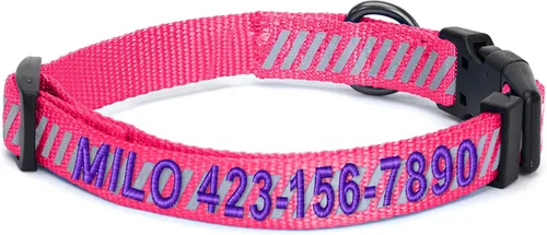 Vista 20 de Collar de entrenamiento reflectante para perros, de la marca Pawtitas, Negro