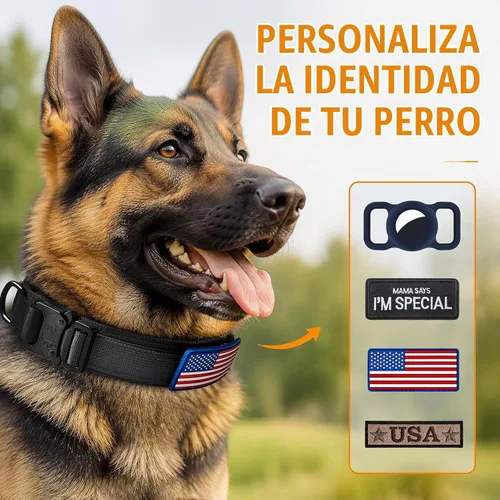 Vista 7 de Collar táctico para perro con asa, nailon resistente para perros