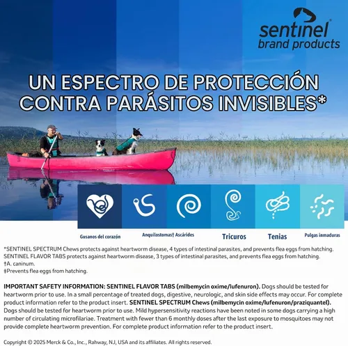 Vista 3 de Pastillas con sabor Sentinel para perros, 23-45 kg, 6 tabletas masticables, suministro de 6 meses, Caja blanca
