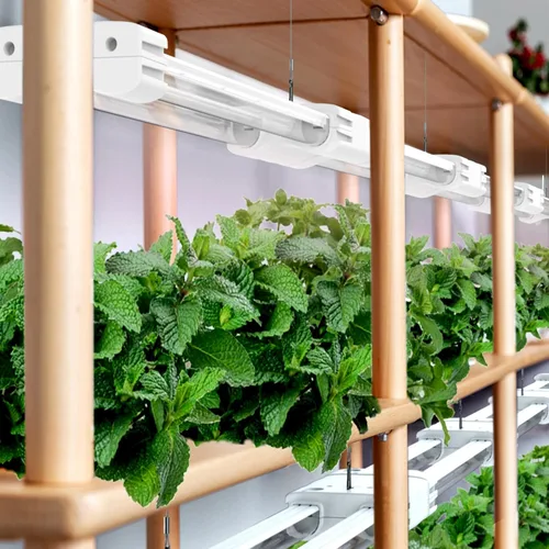 Vista 4 de Luz LED de crecimiento de espectro completo modular enlazable 5000K luz diurna + 660 nm lámpara de iluminación roja para plantas