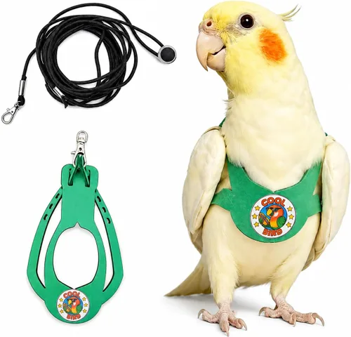 Vista 9 de Juego de arnés ajustable y correa para pájaros pequeños, apto para periquitos, conures, cacatúas, mejillas verdes, loros cuáqueros (verde, XS) 6350-6