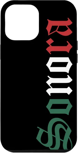 Vista 26 de Sonora Mexico Mexican Flag State Estado Case for iPhone 16