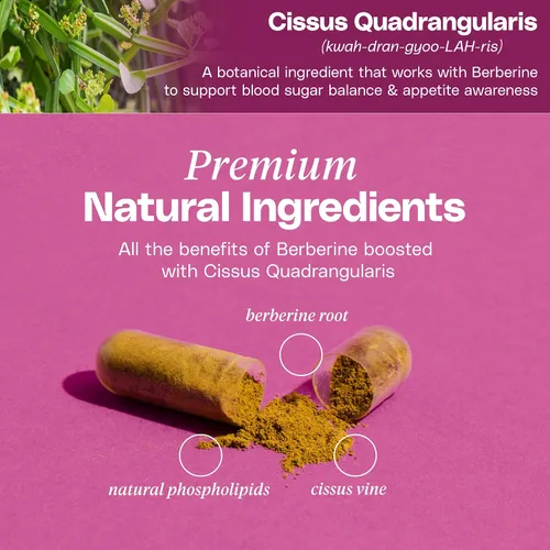Vista 6 de Suplemento de berberina de primera calidad, composición corporal, 60 cápsulas - con Cissus Quadrangularis y fitosoma de berberina - Apoya