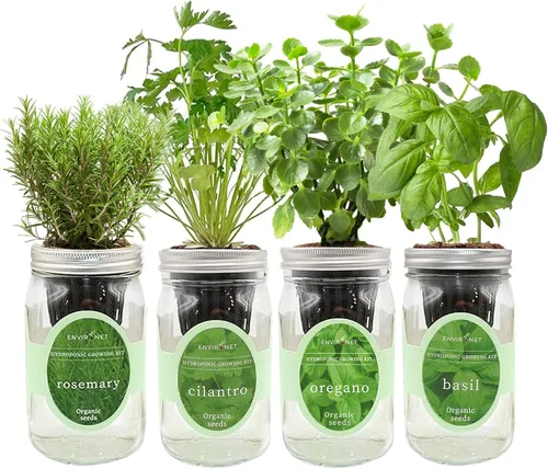 Vista 11 de Kit de cultivo de hierbas hidropónicas, tarro de masón de riego automático, kit de inicio de jardín de hierbas para interiores, cultiva 4 tipos de 2