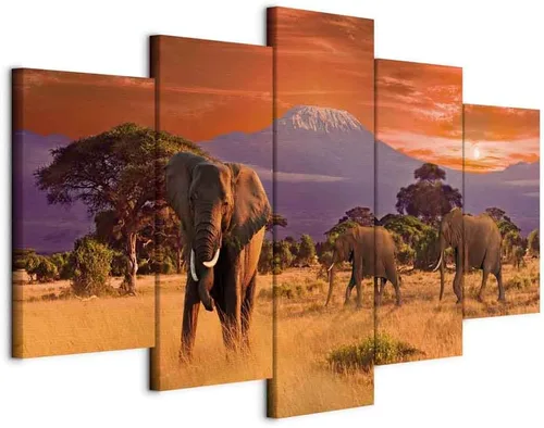 Vista 36 de artgeist Lienzo acústico para pared, diseño de África, 40 x 20 pulgadas, 5 piezas con impresión de sonido de espuma acústica, sala de arte de África