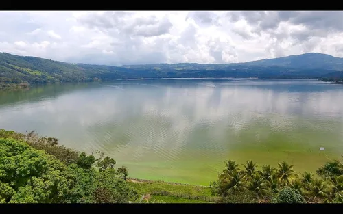 Vista 9 de Sashapure Tratamiento capilar suavizante y brillante con aceite de Sacha Inchi, elimina el encrespamiento, protección térmica, peinado y acabado