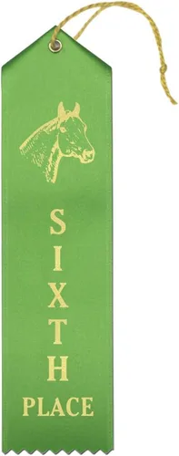 Vista 3 de RibbonsNow Cintas de 1er lugar de Horse Show - 50 cintas azules con tarjeta y cuerda