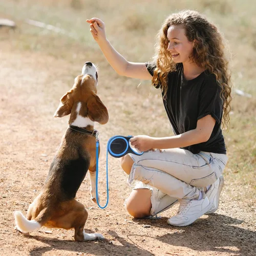 Vista 7 de Correa retráctil para perro Segarty, de 16 pies, resistente para caminar con perros medianos y pequeños de hasta 44 libras, mango antideslizante