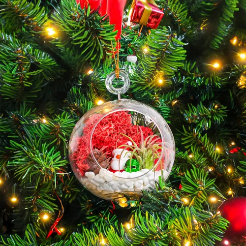 Vista 2 de Creations by Nathalie - Kit de terrario de adorno de Navidad, globo de vidrio de 4 pulgadas, musgo de reno, figura de Navidad- (planta incluida)
