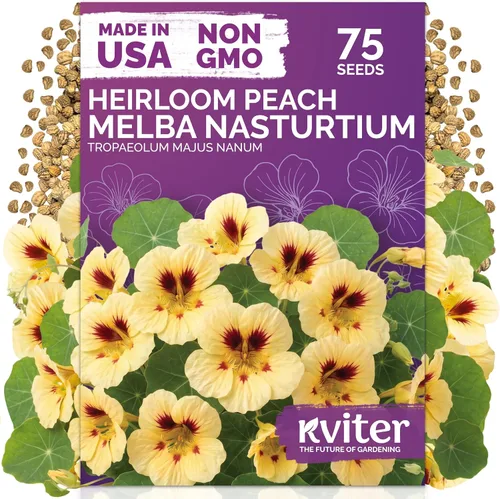Vista 73 de 500 Ball's Orange Calendula Heirloom Flower Seeds, Calendula Officinalis
