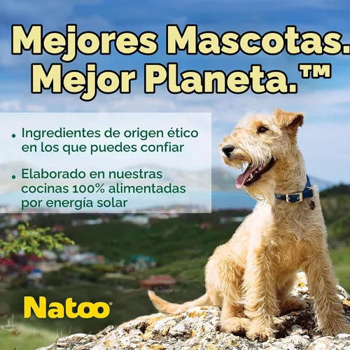 Vista 6 de NATOO Galletas para perros pequeños y cachorros, golosinas crujientes de coco y mango, galletas naturales saludables para perros, ricas en Omega 6