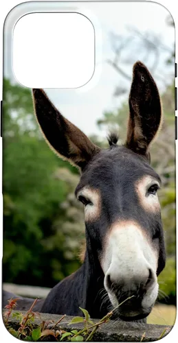 Vista 19 de Funda Donkey para iPhone 17