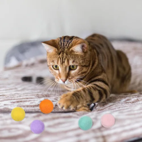 Vista 7 de 14 juguetes de bola de lana para gatos, juguetes silenciosos de fieltro para gatos, juguete de ejercicio para gatito, divertido juguete colorido