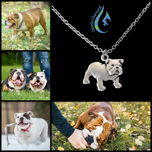 Vista 2 de Collar de bulldog inglés de 18 pulgadas, cadena ajustable de acero inoxidable, regalo de condolencias para perro mamá