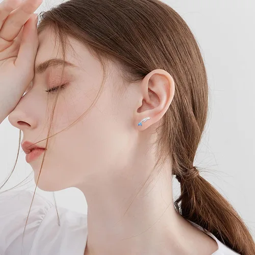Vista 5 de Aretes de plata de ley S925 con estampado de patas, aretes de búho, aretes de cerdo, aretes de caballo, aretes de murciélago para mujer
