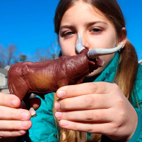 Vista 4 de Safari Ltd. Watusi Figura de toro – Figura detallada de vaca de plástico de 6 pulgadas – Juguete educativo de animales de granja para niños, niñas