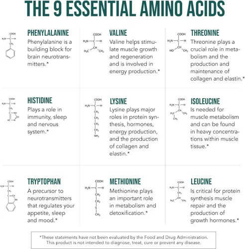 Vista 7 de Suplemento de Aminoácidos Esenciales Orgánicos Plant Aminos (EAAs) y BCAA - 100% a Base de Plantas Crudas, Vegano - Todos los 9 Aminoácidos