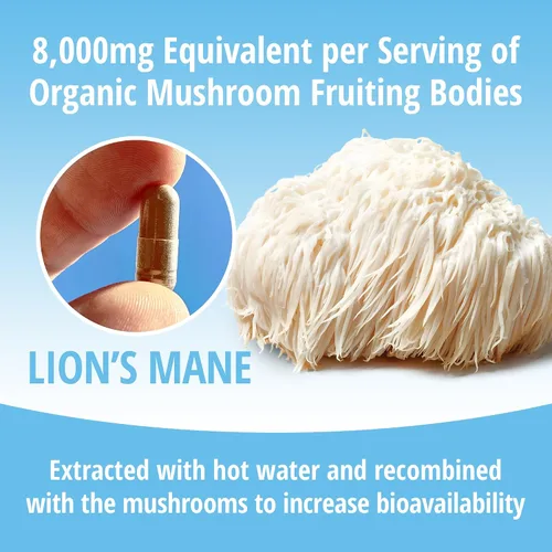 Vista 7 de ENCAPSULATE Lion's Mane Cápsulas Extracto 8:1 – Extracto de hongo orgánico 8:1 cuerpo fructífero de primera calidad – Suplemento de hongos