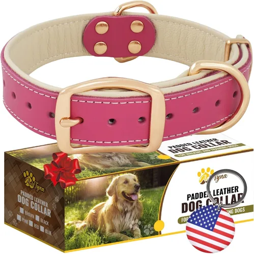 Vista 16 de ADITYNA Collar de perro de cuero negro resistente para perros pequeños, acolchado suave para mayor comodidad, collar de perro pequeño para caminar