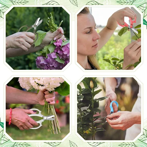 Vista 7 de 12 piezas de herramientas de jardinería, tijeras de flores, suministros de barra de flores, color arcoíris pastel, tijeras de podar, tijeras