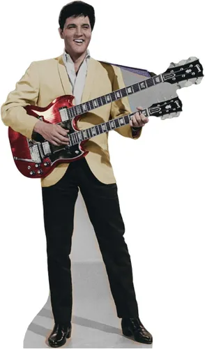 Vista 16 de Imágenes en cartón de Elvis Presley , talla única , Elvis 1