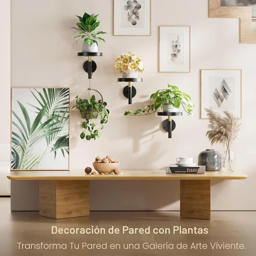 Vista 3 de YUOROS Paquete de 3 Soportes de Plantas de Pared, Macetas de Pared para Plantas de Interior, Estanterías Colgantes para Plantas de Ventana, Negro