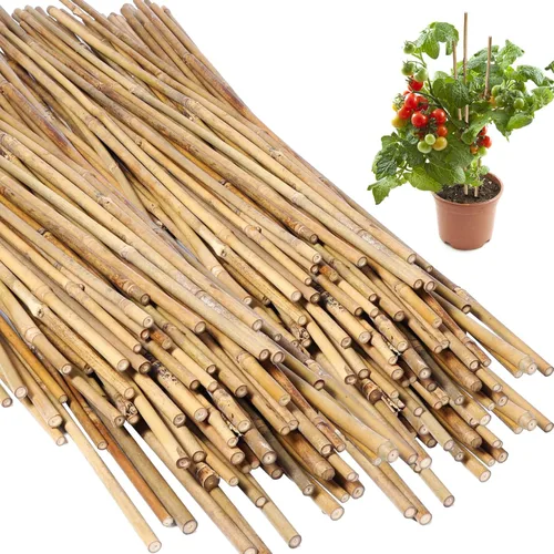 Vista 12 de Suclain Juego de 30 estacas de bambú para plantas trepadoras, estacas de bambú resistentes para tomates, frijoles, flores y plantas en maceta
