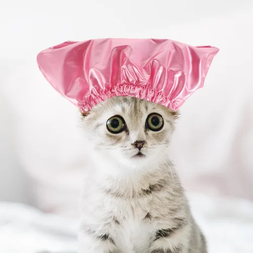 Vista 6 de Gorro de ducha impermeable para mascotas para gatos y perros, sombrero de baño flexible para cachorros con protección para los oídos, gorras