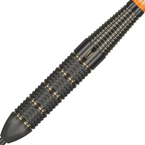 Vista 2 de Target Darts Raymond Van Barneveld RVB 22G - Juego de dardos con punta de acero de latón con accesorios adicionales, paquete de regalo