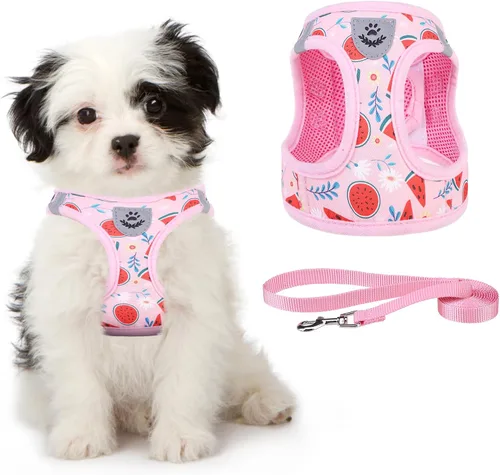 Vista 21 de Arnés de malla suave para cachorros – Juego de arnés y correa para perros pequeños, ajustable y cómodo chaleco reflectante acolchado para cachorros