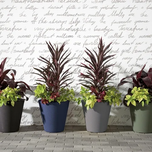 Vista 8 de Crescent Garden Madison Planter– Maceta resistente a la intemperie, doble pared para interiores y exteriores con orificio de drenaje, contenedor