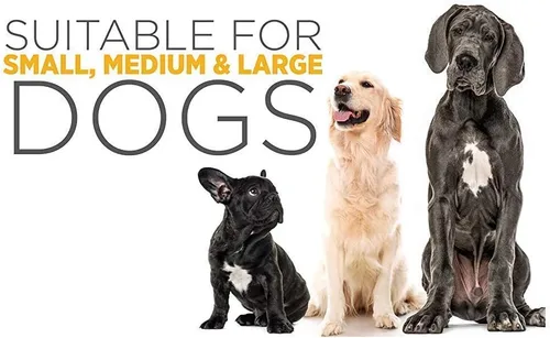 Vista 8 de maxxipaws SAM-e Digest Bundle – MaxxiSAMe Advanced SAM-e Apoyo SAM-e para perros y maxxidigest+ suplemento digestivo e inmunológico canino