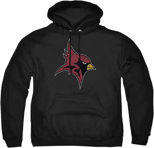 Vista 141 de Distressed College Primary Logo Adult Pullover Hoodie Collection 1 Universidad Estatal de Albany
