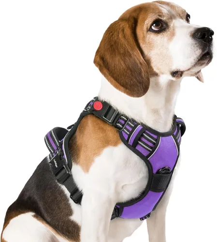 Vista 16 de Rabbitgoo - Arnés para perro de tamaño pequeño, arnés para mascotas sin tirones con 3 hebillas, chaleco acolchado suave ajustable con mango